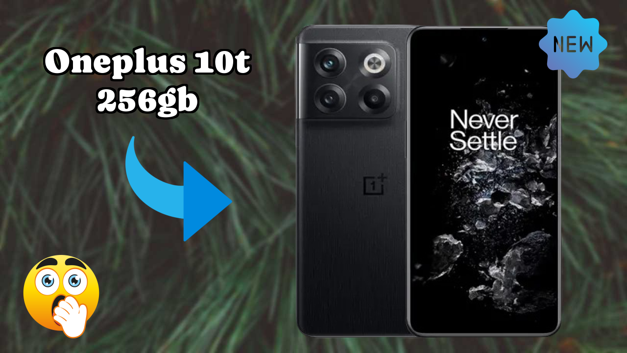 OnePlus 10T 256GB कैमरा सैंपल: 50 MP + 8 MP + 2 MP Rear Camera रियल फोटो
